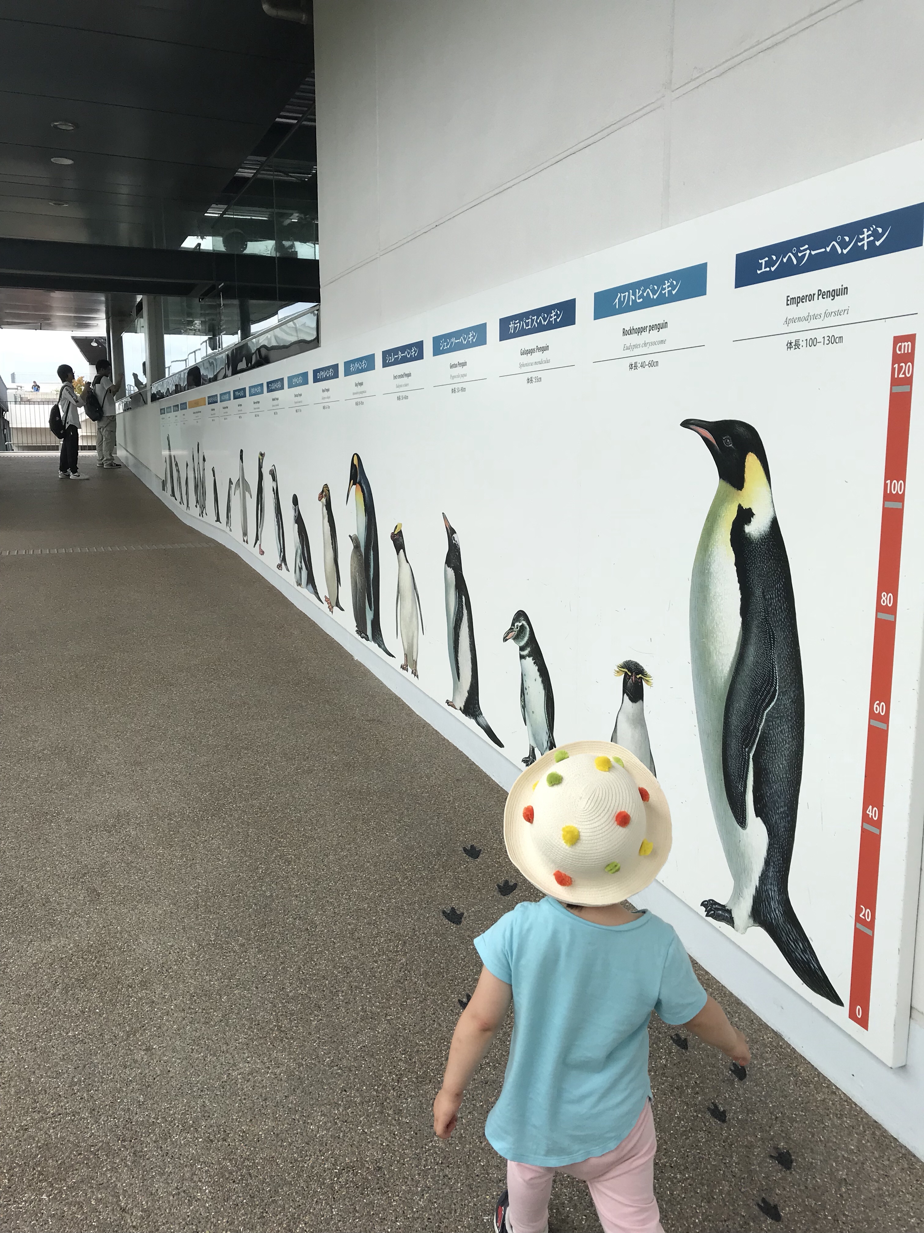 ペンギン飼育室に至る道にもこんな感じでサイズ感も分かりやすい壁画が